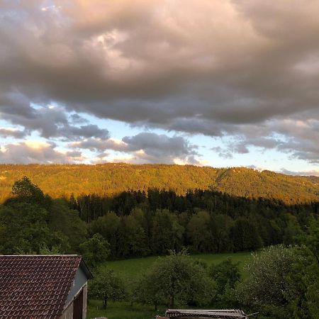 Ferienwohnung Samys Nahe Lindau Am Bodensee Зигмарсцелль Экстерьер фото